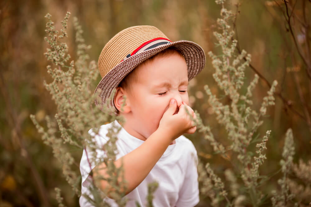 Dete sa alergijom na polen. Dečak kija zbog sezonske alergije dok sedi u travi.