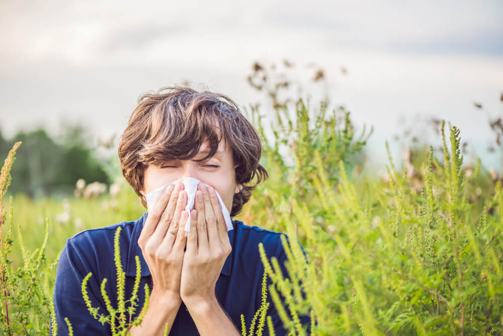 Mladić kija zbog alergije na ambroziju